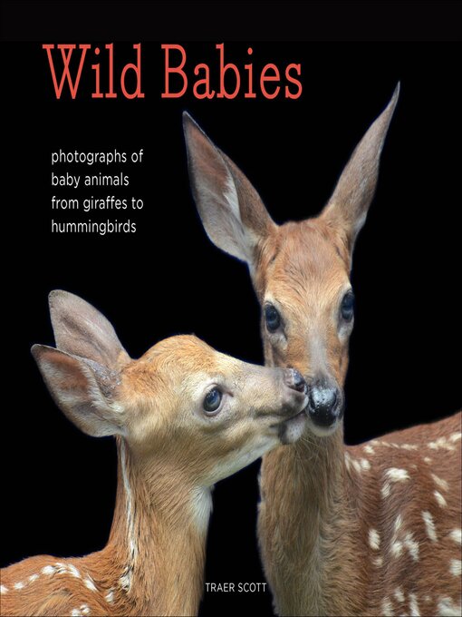 Title details for Wild Babies by Marjorie Luckey - Available